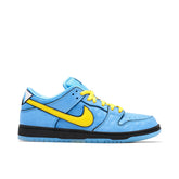 Nike X Dunk Sb Supernana Blue
